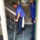 Edmonson Carpet & Upholstery Cleaners Inc