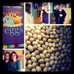 Wild Eggs - Louisville, KY