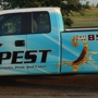XPest Termite Pest and Lawn