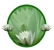 The Floating Lily Natural Therapy - Alternative & Natural Therapies