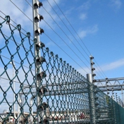 Gallery Image Number 6