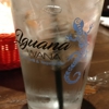 Iguana Wana gallery