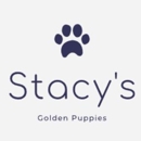 Stacy's Golden Retrievers - Pet Breeders