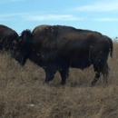 Neal Smith National Wildlife Refuge and Prairie Learning Center - Nature Centers