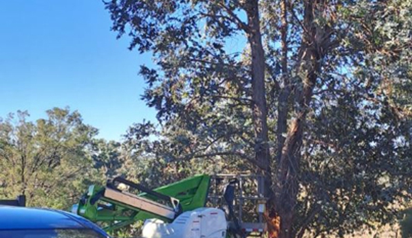 Phil's Tree Service - Cootamundra, NSW