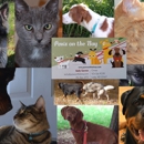 Paws on the Bay - Pet Sitting & Exercising Services