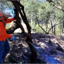 Central Sierra Pest Control - Animal Removal Services