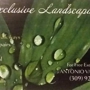 Exclusive landscaping
