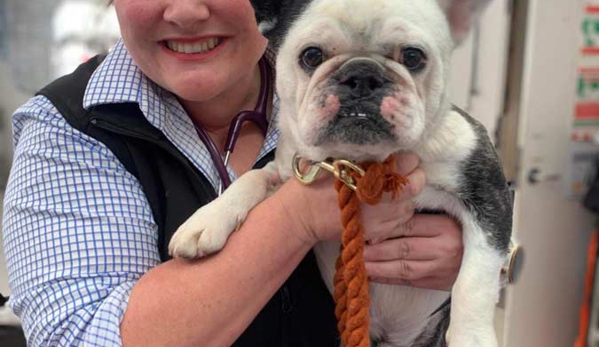 Orange Veterinary Hospital - Orange, NSW