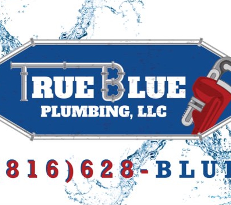 True Blue Plumbing - Kansas City, MO