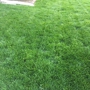 Green Envy Lawn Care