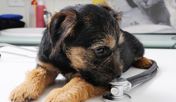 Peninsula Vet Care - Rye, VIC