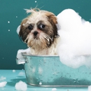 Animal Splash Grooming