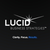 Lucid Business Strategies gallery