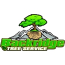 Backridge Tree Service - Landscaping & Lawn Services