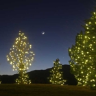 Denver Christmas Light Displays