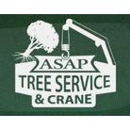 ASAP Tree and Crane Services - Cranes