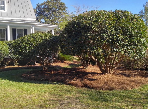 Mighty Mow Landscaping & Lawn Care LLC - Summerville, SC