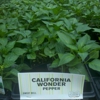 Mayo Garden Center Parts gallery