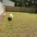 American Fence and Stain