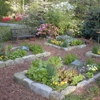 Island garden innovations gallery
