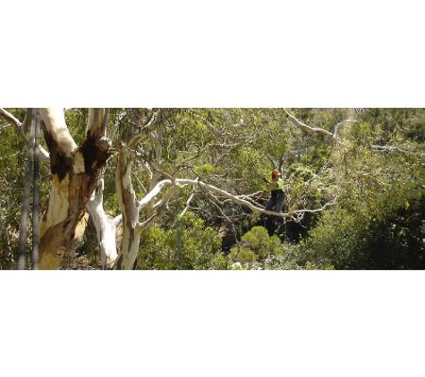 Arboressence - Wangaratta, VIC