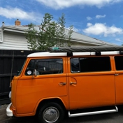 Gallery Image Number 8
