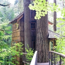 Treehouse Point - Lodging