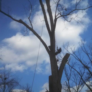 Benton Tree Service - Monticello, GA