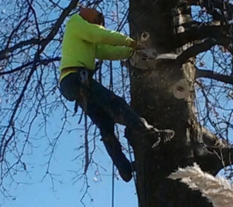 Kottman's Tree Service - Saint Charles, MO