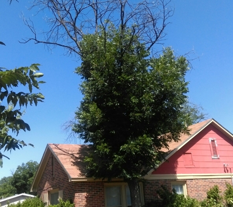 B&M TREE SERVICE - San Angelo, TX. Before and after.. 7/30/15