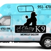 Classy K-9 Salon Dog Wash gallery