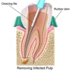 Beavercreek Endodontics Associates gallery