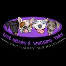 Wet Noses & Wagging Tails - Dog Day Care