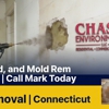 Chase Environmental Asbestos,Lead and Mold Removal gallery