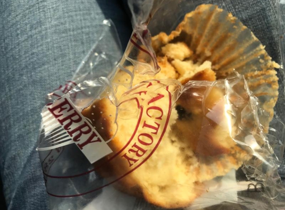 Muffin Factory - Glebe, NSW. Spot the blueberry!