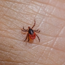 Roscoe's Pest Control Inc - Pest Control Equipment & Supplies