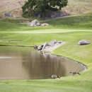 Eagle Springs Golf & Country Club - Golf Courses