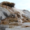 Yellowstone National Park - West Entrance gallery