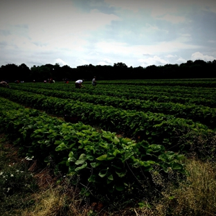 Honey Brook Organic Farm - Pennington, NJ