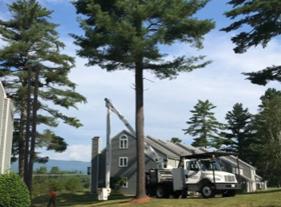 Classen's Tree Service - Campton, NH