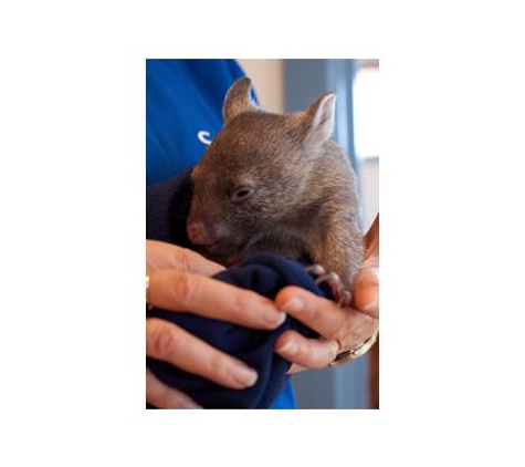 Beach Street Veterinary Clinic - Frankston, VIC
