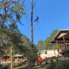 First Chantz Tree Service