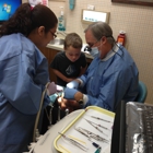 Robert P Olson DDS