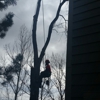 Fielding Tree Care gallery
