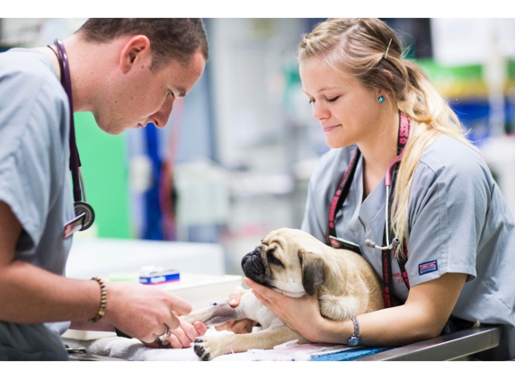 Brisbane Veterinary Emergency and Critical Care Service - Albany Creek, QLD
