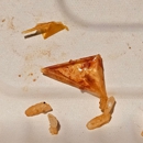 Chronic Tacos - Fast Food Restaurants
