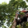 Arbor Tech Tree Service gallery