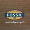 Fossil gallery