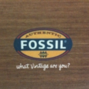 Fossil - Watches